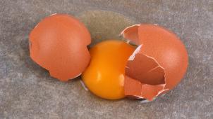 Broken fresh chicken egg close-up on gray background | Oeuf de poule frais cassé en gros plan sur fond gris
 15/01/2021