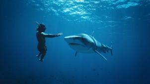 Denis Grosmaire est un apnéiste renommé qui ose nager avec les requins en Polynésie.