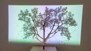 Chez Frédérick Moureaux, Samuel Rousseau propose sous le titre « Daydream » un ensemble d’œuvres mêlant vidéo, sculpture, installations, dessin et art numérique.