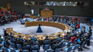 Le Conseil de sécurité de l’ONU n’est toujours pas parvenu à se mettre d’accord sur un cessez-le-feu à Gaza.