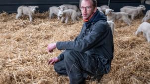 A Nivelles, Thibaud Somville est ravi de s’être lancé dans la culture de moutons dès la fin de ses études.