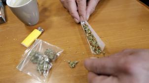 Selon les experts européens, « la teneur en THC dans l’herbe de cannabis a doublé entre 2006 et 2016. »