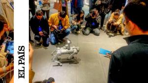 Un chien robot au siège de la société d’intelligence artificielle iFlytek, le 28 mars.