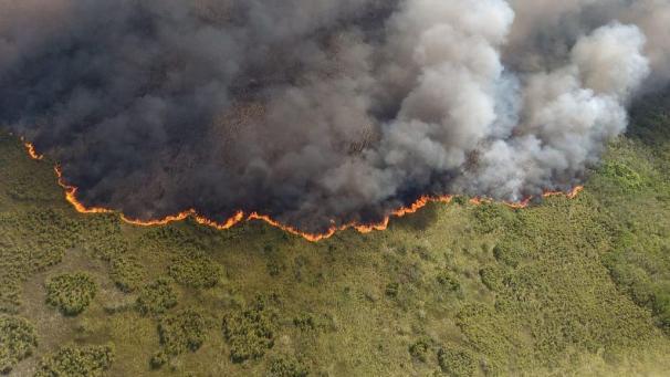 Au Mexique, un incendie ravage la réserve naturelle de Sian Ka’an. L’image vue du ciel montre l’ampleur des dégâts.