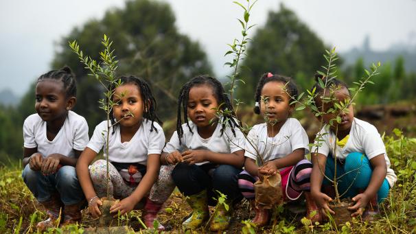 Des jeunes filles éthiopiennes participent à une campagne nationale de plantation d’arbres à Addis-Abeba, la capitale. L’Éthiopie prévoit planter quatre milliards d’arbres d’ici octobre 2019.