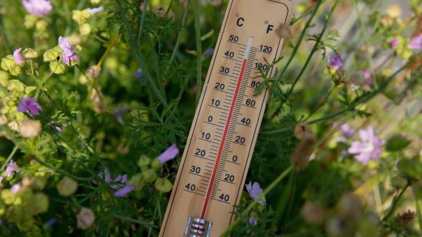 Un nouveau record national de chaleur a été battu ce jeudi 26 juillet en Belgique, avec 41,8 degrés relevés à Begijnendijk, en Brabant flamand.