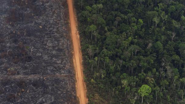 Une forêt luxuriante à côté d’un champ d’arbres carbonisés à Vila Nova Samuel, au Brésil, pays touché par de graves incendies. Environ 60 % de la forêt amazonienne se trouve au Brésil.