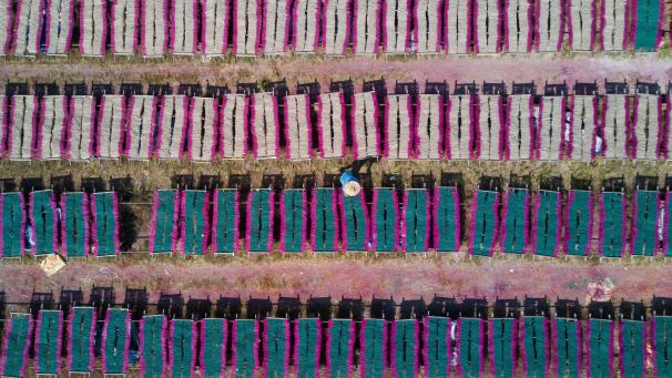 Un travailleur dans une production d’encens au bambou du côté de Dapu Town, en Chine.