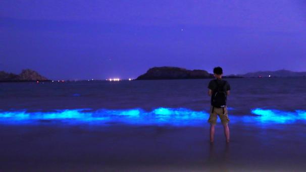En Chine, la mer a pris une magnifique couleur bleue fluorescente.