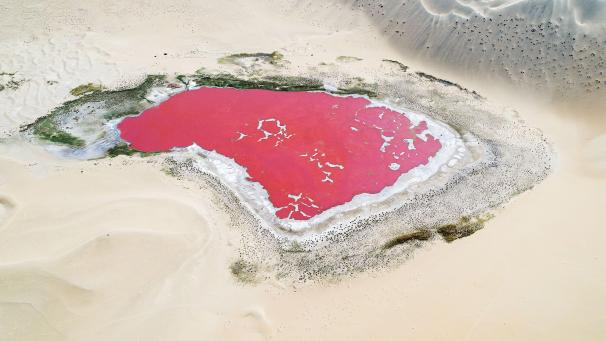 Le lac de sel rouge Gelete dans le désert, à Alxa, en Chine.