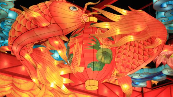 Les lanternes pour le festival du printemps dans la province de Jiangsu en Chine.