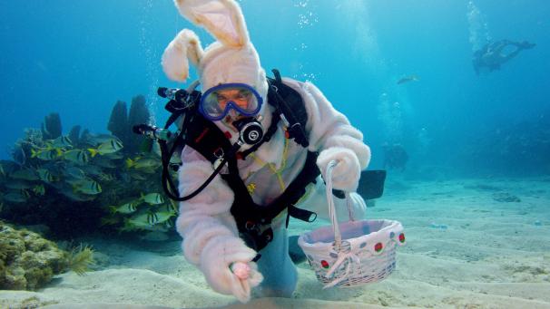 Un plongeur a enfilé son costume de lapin pour la chasse aux oeufs en Floride, dans le sanctuaire national marin.