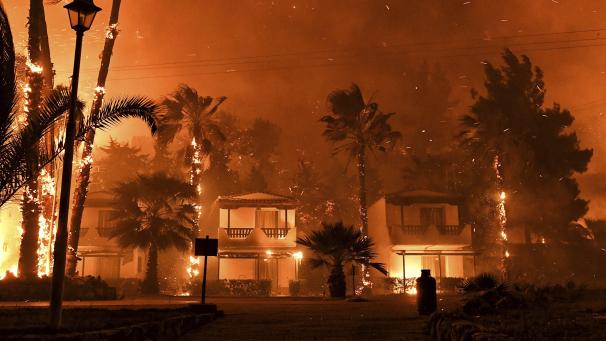 Incendie de forêt dans le village de Schinos, près de Corinthe, en Grèce.