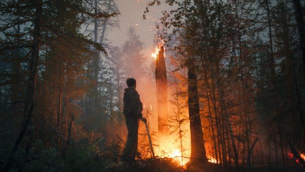 Les incendies continuent dans les forêts en Russie. Les volontaires surveillent l’avancée des feux.