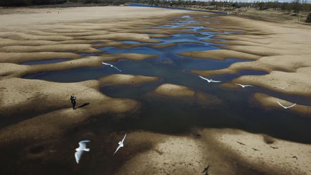 Des oiseaux survolent un homme en train de prendre des photos du lit exposé de la rivière Old Parana, un affluent de la rivière Parana pendant une sécheresse à Rosario, en Argentine.