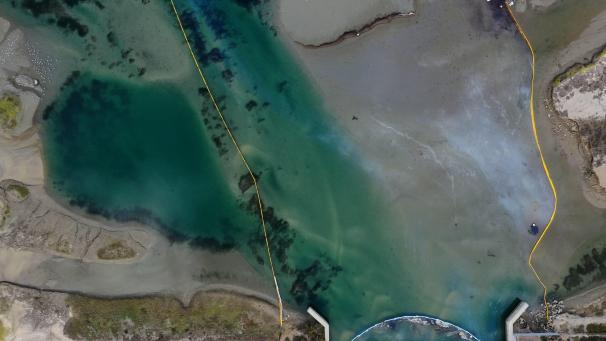 Un déversement de pétrole au large de la côte du comté d’Orange a laissé des plages délabrées, tuant notamment des poissons et des oiseaux.