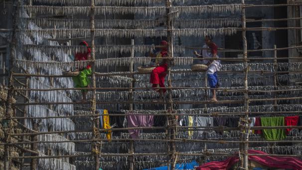 Des pêcheurs accrochent des poissons sur une structure faite de bâtons de bambou pour les faire sécher au soleil à Mumbai, en Inde.