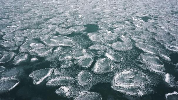 À Chicago, le lac Michigan est couvert de glace.
