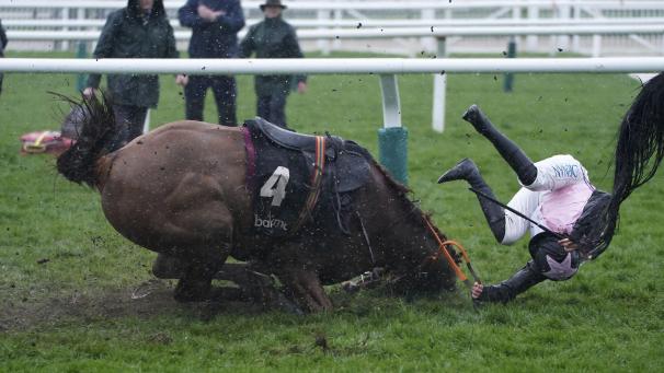 Une jockey tombe de son cheval pendant la deuxième journée du Festival de Cheltenham en Angleterre.