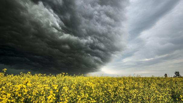 Des nuages orageux se forment au-dessus d’un champ près de Cremona.