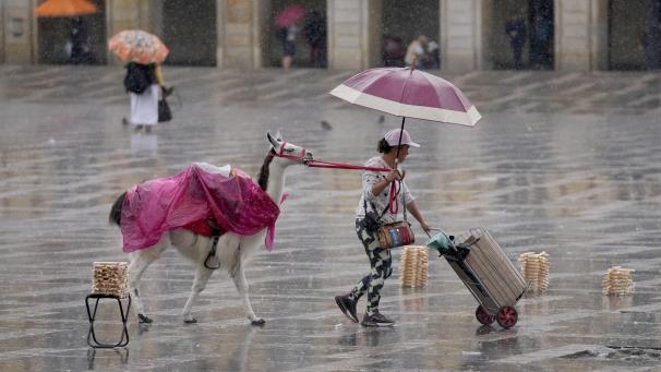 Une photographe de rue quitte la place Bolivar avec son lama après que la pluie ait commencé à tomber à Bogota, en Colombie.