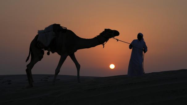 Un homme promène son chameau au coucher du soleil dans le désert près d