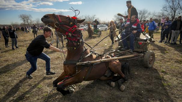 Un cheval tirant la charrette dans laquelle monte un prêtre tombe lors des célébrations de l