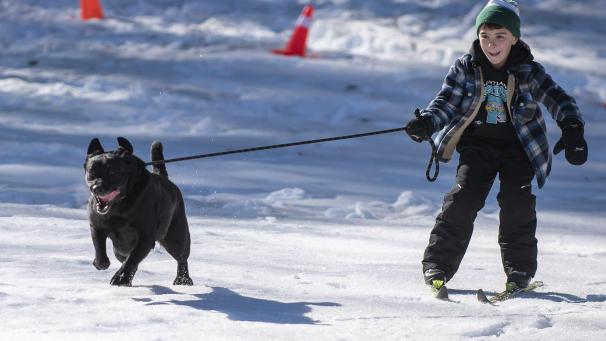 Jack Moreau se fait tirer dans la neige par son chien Shelby lors du Poland Community Winter Festival à Poland dans le Maine.