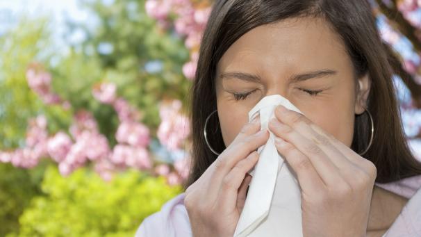 L’allergie au pollen de graminées concerne au moins une personne sur six en Belgique.