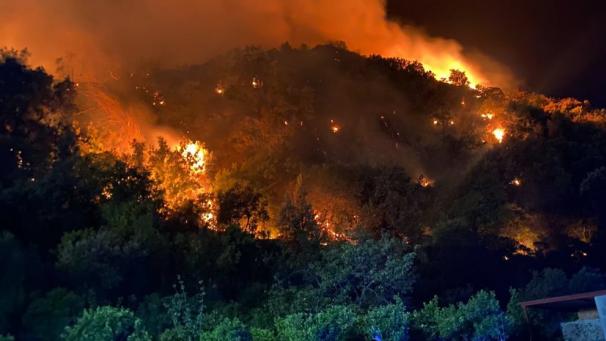 Le réchauffement climatique provoque d’importants feux de forêt.