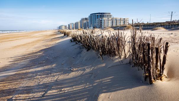 Ostende est devenue un véritable laboratoire à ciel ouvert où de nombreuses méthodes «douces» sont étudiées pour préserver les plages, comme l’impact des dunes ou des barrages naturels pour lutter contre la dispersion du sable à cause du vent et des vagues.