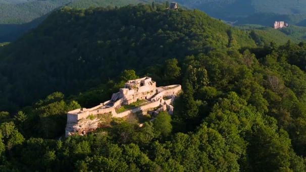 Le château de Fleckenstein fait partie des 150 forteresses du massif des Vosges.