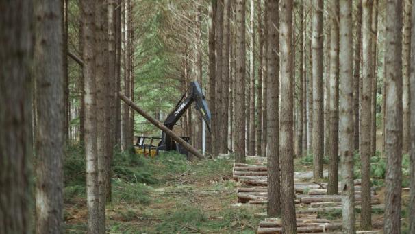Ikea utilise 20 millions de m 3  de bois par an, ce qui représente 1 % des réserves de la planète.