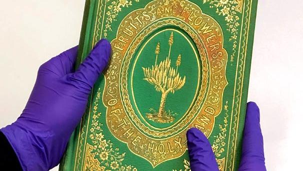 La couleur vert émeraude de la couverture de « Fruits and flowers of the Holy Land » (1861) a été obtenue grâce à un mélange contenant de l’arsenic.