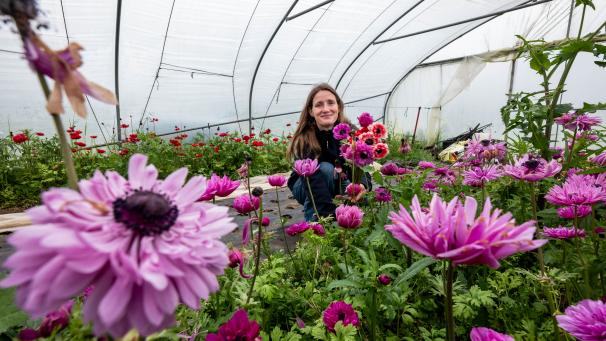 A Rèves, en cultivant ses fleurs locales et écologiques, Pauline Wattiez a relevé le défi qu’elle s’était lancé.