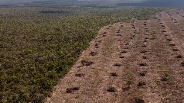 Vue aérienne de la déforestation du Cerrado, le 25 septembre 2023.