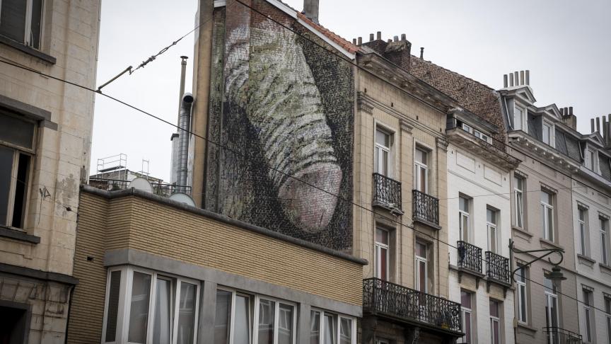 La commune de Saint-Gilles va effacer le graffiti de sexe géant. © Le Soir (Roger Milutin)