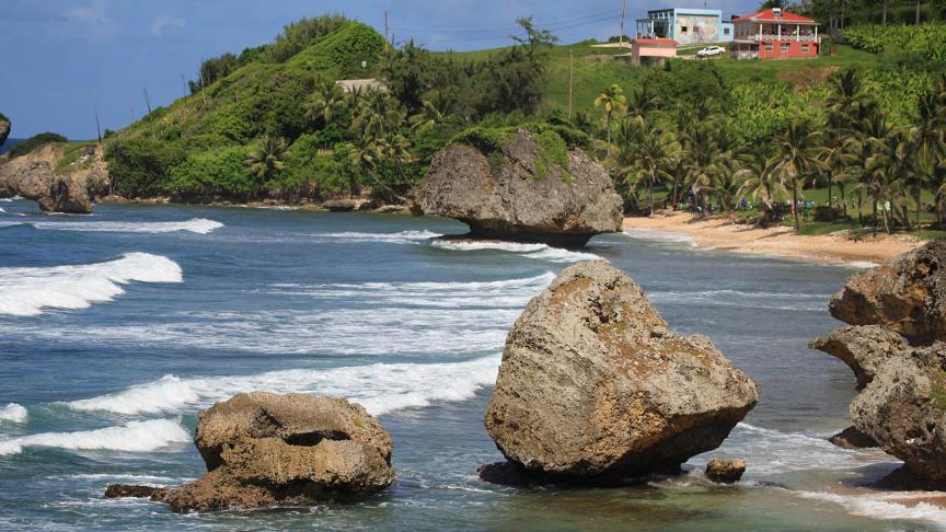 Barbade
: 430 km² - Située dans la mer des Caraïbes, le climat tropical est adouci par les Alizés en provenance de l’océan Atlantique.