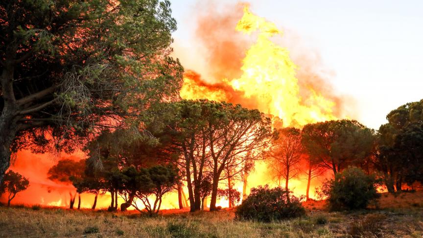 Un départ d'incendie attisé par un vent très violent s'est déclaré à 19 h30 dans les collines de Gigaro, à La Croix-Valmer. ©Reporters