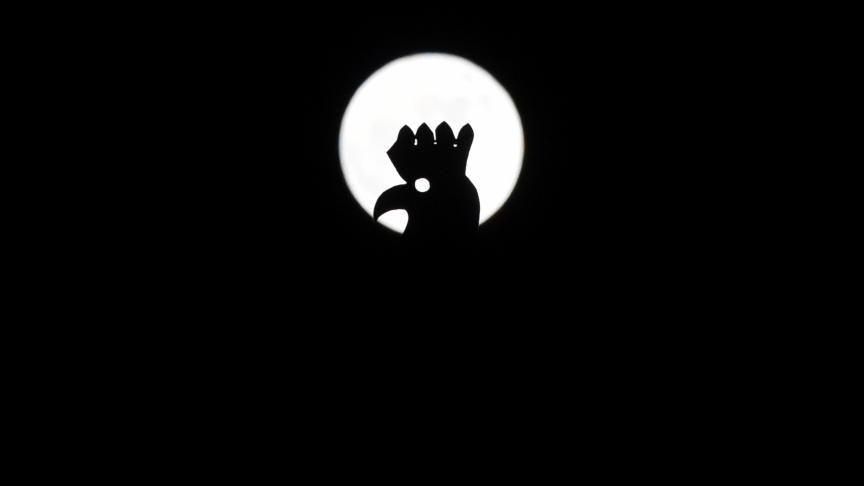 Une silhouette de coq prise dans la lumière de la super Lune, à Madrid.