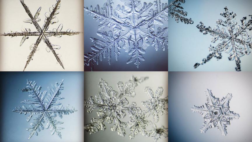 Assemblage de flocons de neige capturés par le photographe Michael Peres