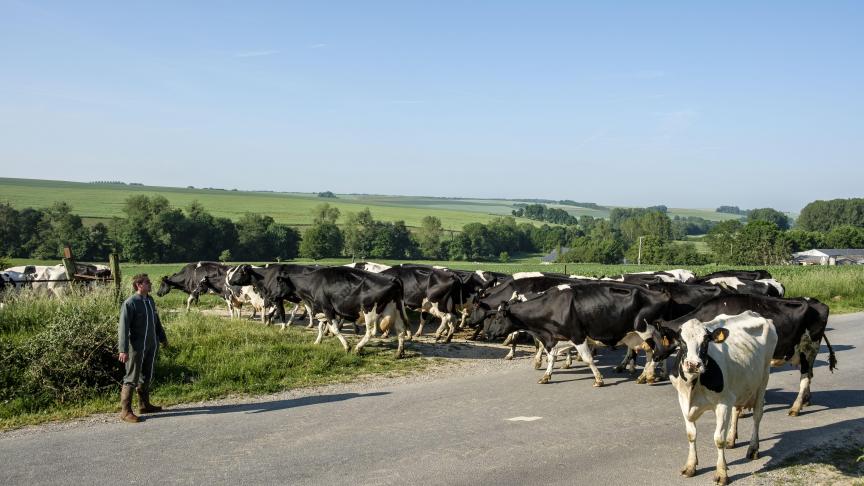 Les petits éleveurs et producteurs de lait sont parmi les agriculteurs les plus précarisés.