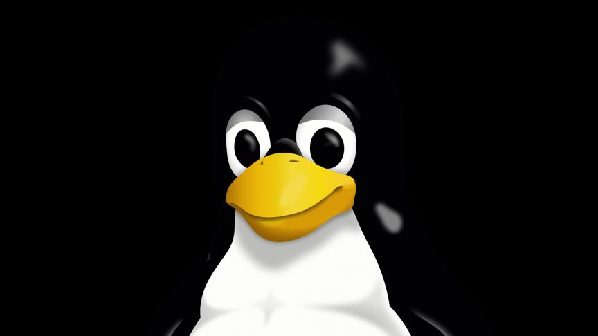 Tux est le manchot, mascotte officielle du système d’exmploitation «
libre
» Linux. © D.R.