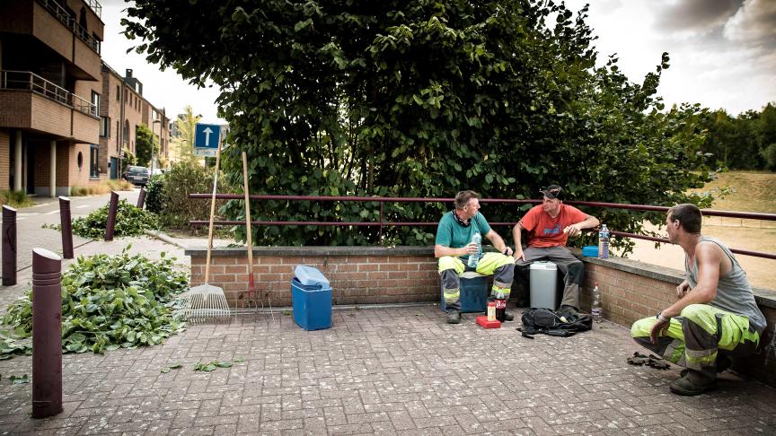 Photo de travailleurs dans la canicule et la chaleur en Belgique ©Bruno D’Alimonte / Le Soir