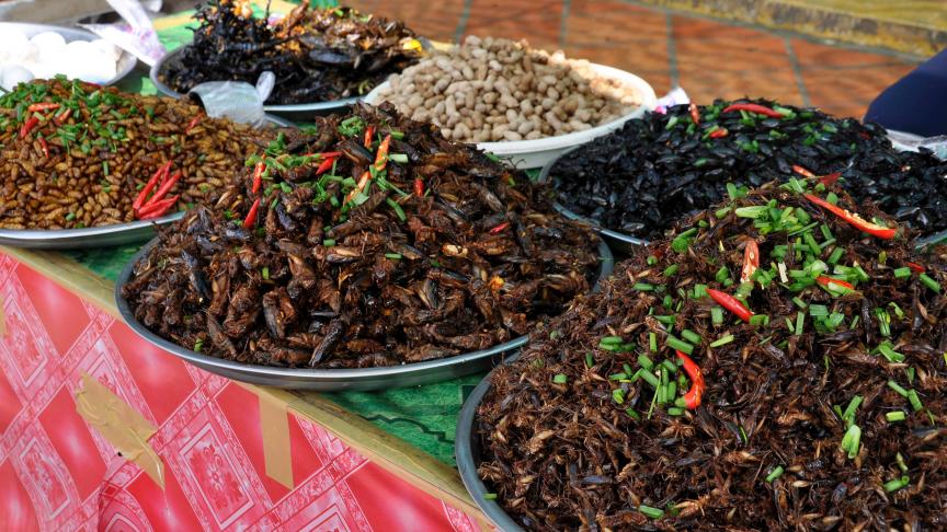 On est loin des marchés aux insectes de Phnom Penh, au Cambodge.