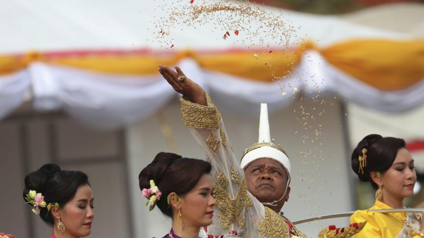 La fête du sillon sacré a eu lieu en Thaïlande. Un événement annuel pour que la récolte de riz soit bonne.