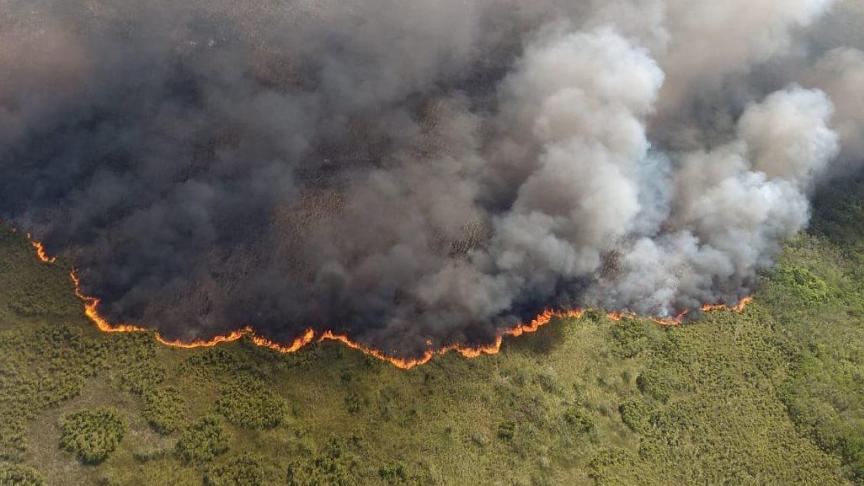 Au Mexique, un incendie ravage la réserve naturelle de Sian Ka’an. L’image vue du ciel montre l’ampleur des dégâts.