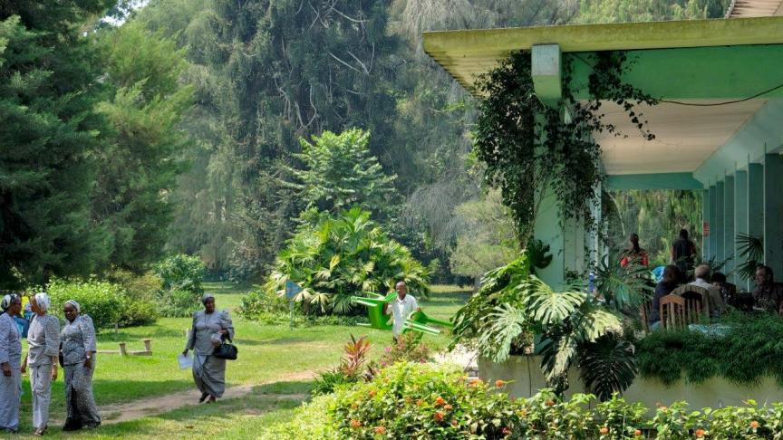 Le jardin de Kisantu, le plus grand jardin botanique d’Afrique centrale.