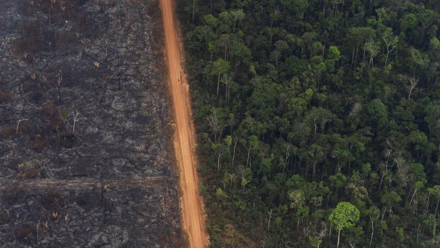 Une forêt luxuriante à côté d’un champ d’arbres carbonisés à Vila Nova Samuel, au Brésil, pays touché par de graves incendies. Environ 60 % de la forêt amazonienne se trouve au Brésil.