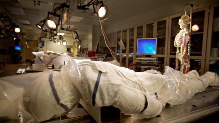 La dissection d’un corps humain reste incontournable pour les étudiants en médecine.